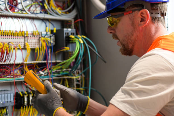 Best Electric Panel Repair  in Safford, AZ